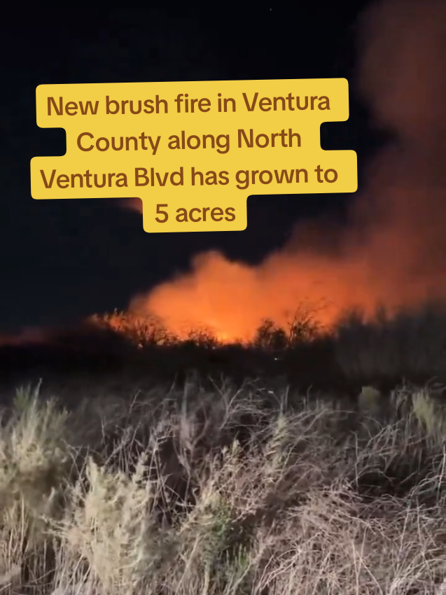 New brush fire in #VenturaCounty along North Ventura Blvd has grown to 5 acres #LosAngeleswildfire #californiawildfire #Pasadena #LAFires #LosAngelesFire #PalisadeFire 