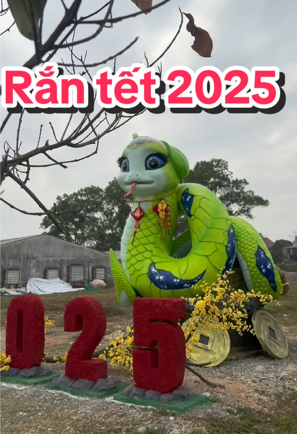 Rắn tết 2025 đã xong hẹn các bạn cuối tuần #xuhuong #nghethuat #buivanquan92 #linhvat2025 #tet2025 #ranhanhphuc 