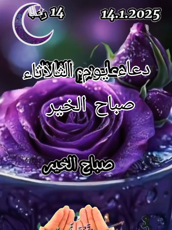 دعاء يوم الثلاثاء صباح الخير #صباح_الخير #صباح #صباحكم_أحلى_صباح  #دعاء_يريح_القلوب #دعاء_جميل #اللهم #اللهم_صلي_على_نبينا_محمد #دعاء #sabah #sbah_lkhir #sbahkhir  #دعاء_يوم_الثلاثاء #يوم_الثلاثاء #الثلاثاء  #رجب   #2025 #وفي_يوم_الثلاثاء  #CapCut  #tiktok #tik_tok #fyp 