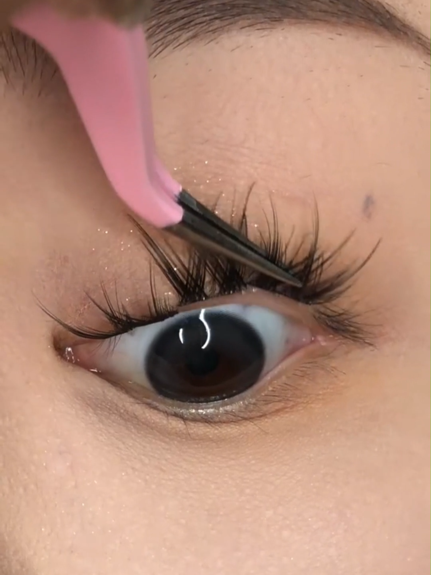 applying the clusters is so easy #diylashes #lashestutorial #lashestips #diylashestutorial