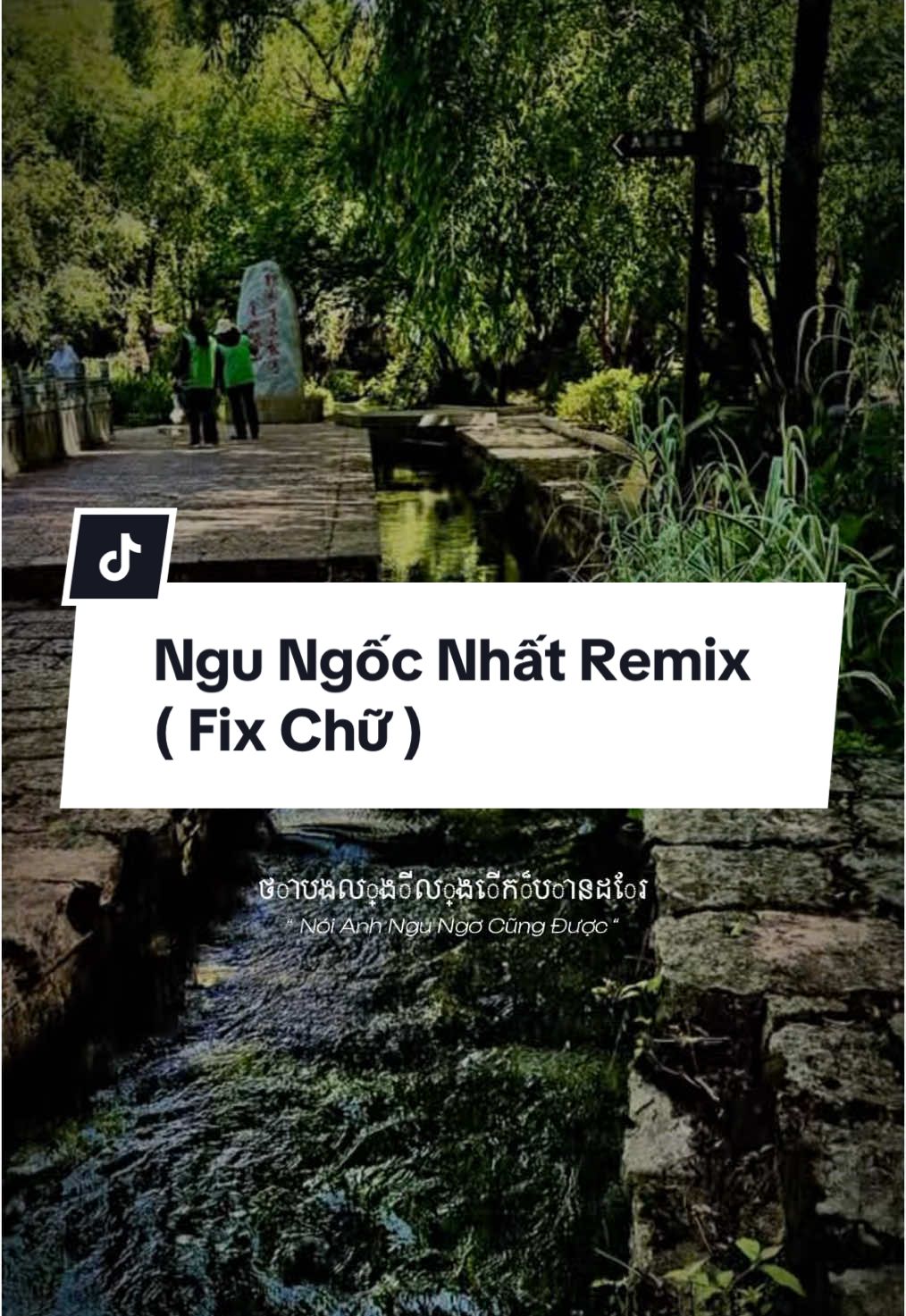 Ngu Ngốc Nhất Remix ( Fix Chữ )#CapCut #capcutmaster #bachtuong #bachtuong205 