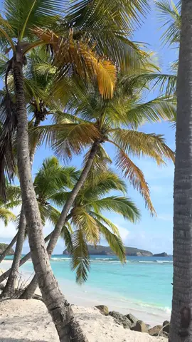 Mustique - one of the most exclusive Caribbean islands 🌴🌴 #mustique #mustiqueisland #grenadinesislands #travel #traveltiktok 