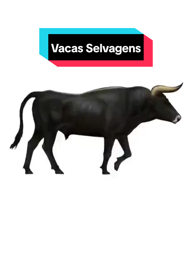 Como Eram as Vacas Selvagens??? @odavyjones Música: - Johnny Cash - I Won't Back Down (8-bit) #biologia #biology #history #história #historia #arqueologia #archaeology #paleontologia #paleontology #animal #animaldomestico #animaldoméstico #domestico #doméstico #domesticação #domesticado #animaldomesticado #lobo #wolf #urso #bear #homosapiens #homoneanderthalensis #homodenisova #homoerectus #homo #neanderthal #neandethals #neandertal #neandertais #human #humans #humano #humanos #humanidade #humanity #boi #bois #vacas #vaca #gado #cattle #cow #auroque #auroch #aurochs #megafauna #pleistocene #pleistoceno #biohistoriologia #biohistoriologo #mamíferos #mamífero #mamiferos #mamifero #mammal #mammals #mammalia #touro #bull #zebu