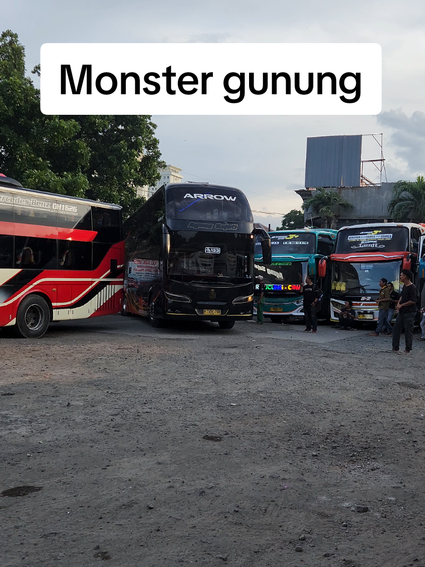 Monster gunung, terlihat mewah dan gagah dengan body langka #agungsejati #busindonesia