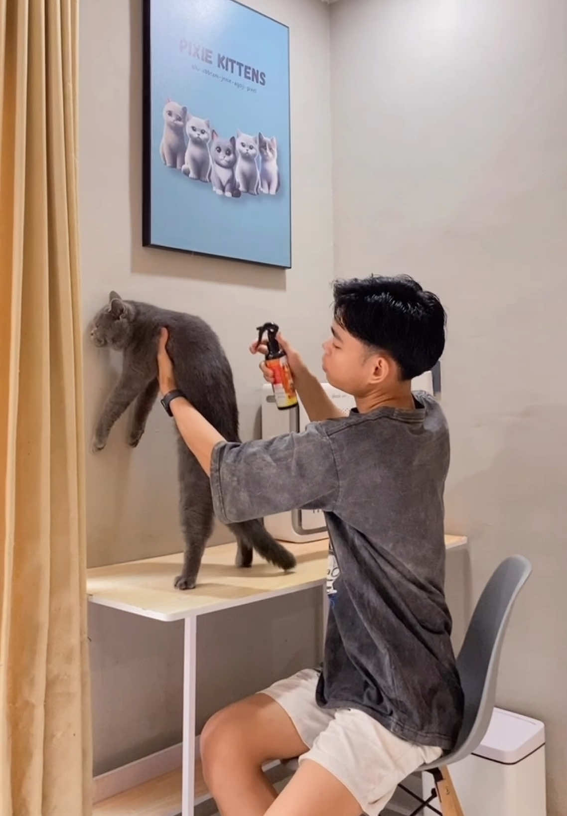 Kucing indoor juga bisa kutuan 🥺 tapi tinggal semprot aja pake spray kutu @Elope #obatkutukucing 