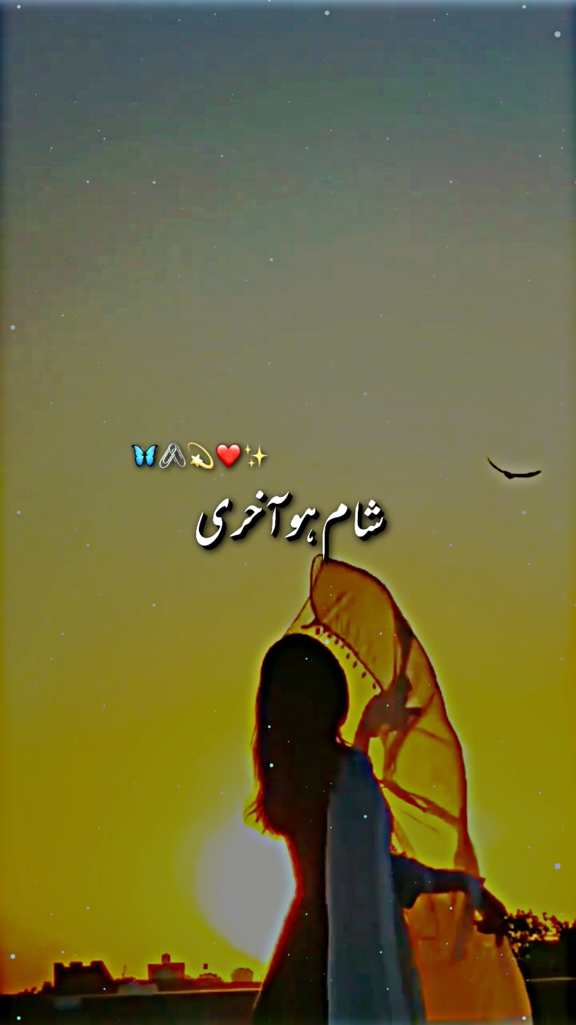 sham ha akhri yad ha AJ bhi#song #romanticsong #foryou #foryoupage #standkashmir #magicanimation #viral #fyp 