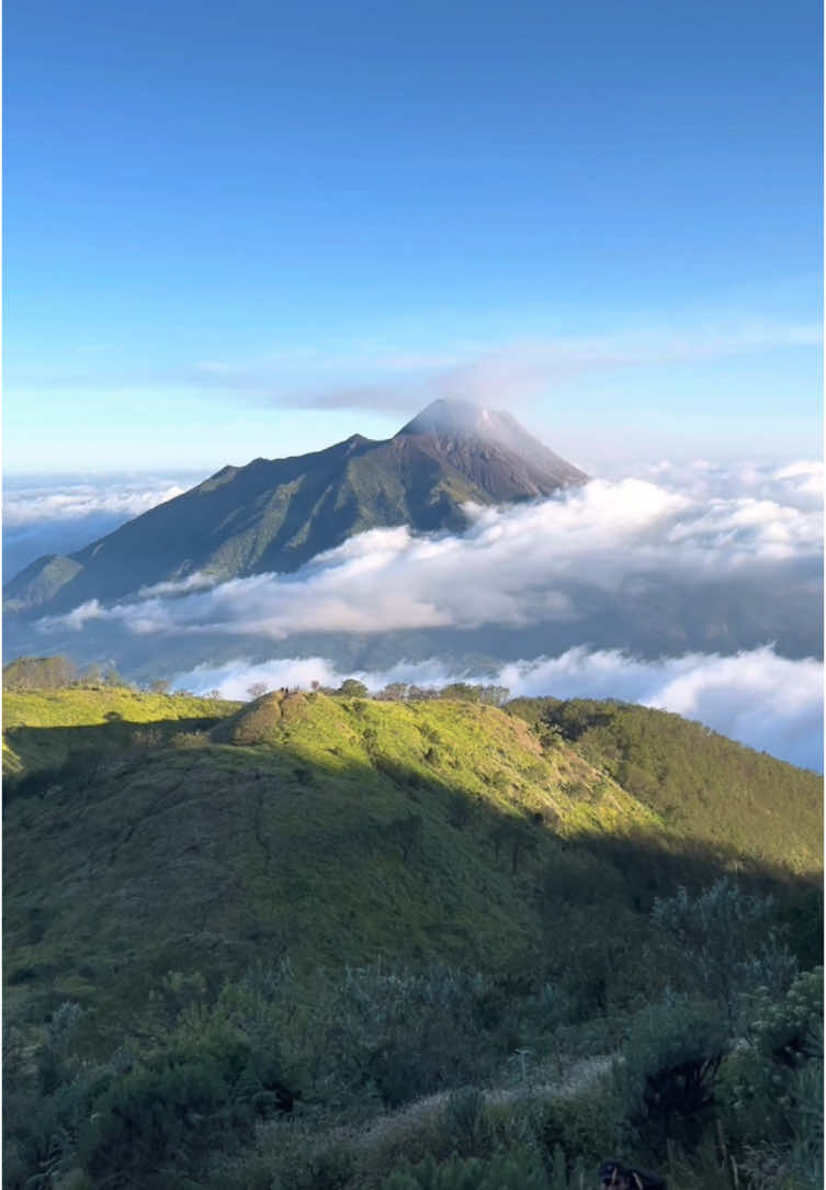 Kenapa gunung merbabu masih ditutup untuk kegiatan pendakian ?  1. Dengan berubahnya Kementerian Kehutanan yg sblumnya tergabung dg KLHK maka tentu akan ada banyak perubahan Nomenklatur, aturan dan tentu butuh waktu utk penyesuaikan menuju kesempurnaan.  2. Khusus Wisata Alam dan Wisata Pendakian gunung maka apklikasi harus disesuaikan dengan Nomenklatur baru, mulai dari aplikasi Daftar akun, Booking online, Epayment yg bekerjasama dengan pihak ketiga (Bank), perubahan aplikasi BO butuh waktu utk penyesuaian dr pihak ketiga (Desnet) banyak hal - hal kecil yang sebelumnya masih blm lengkap sekalian akan disempurnakan. Dengan perbedaan ada pendakian sistem e payment sementara wisata alam sistem manual maka perlu pembaharuan dan penyesuaian dg sarpras pendukungnya serta SDM Mitra pelaksananya butuh pemahaman akan tercipta dengan baik, lancar tdk adanya permasalahan jika sdh dibuka. (semua itu tuntutan dari Kementerian Kehutanan) sejalan dengan pemerintahan yang baru. 3. Faktor cuaca yang belum menentu (intensitas hujan cukup tinggi) menjadi pertimbangan demi keselamatan pendaki  Entah besok  , lusa , atau kapan merbabu buka   .. admin juga masih menunggu , sama seperti kalian 🙏🏻 Kita sama sama berharap semoga pendakian merbabu segera dibuka kembali 🤲 #fyp #virał #suwanting #merbabuviasuwanting #merbabu3142mdpl #merbabu #merbabumountain #pendakigunung #gunungmerbabu 