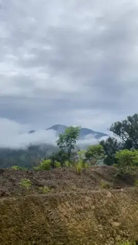 #tambrauw #kabut LKS#fypdongggggggg #lagupng 