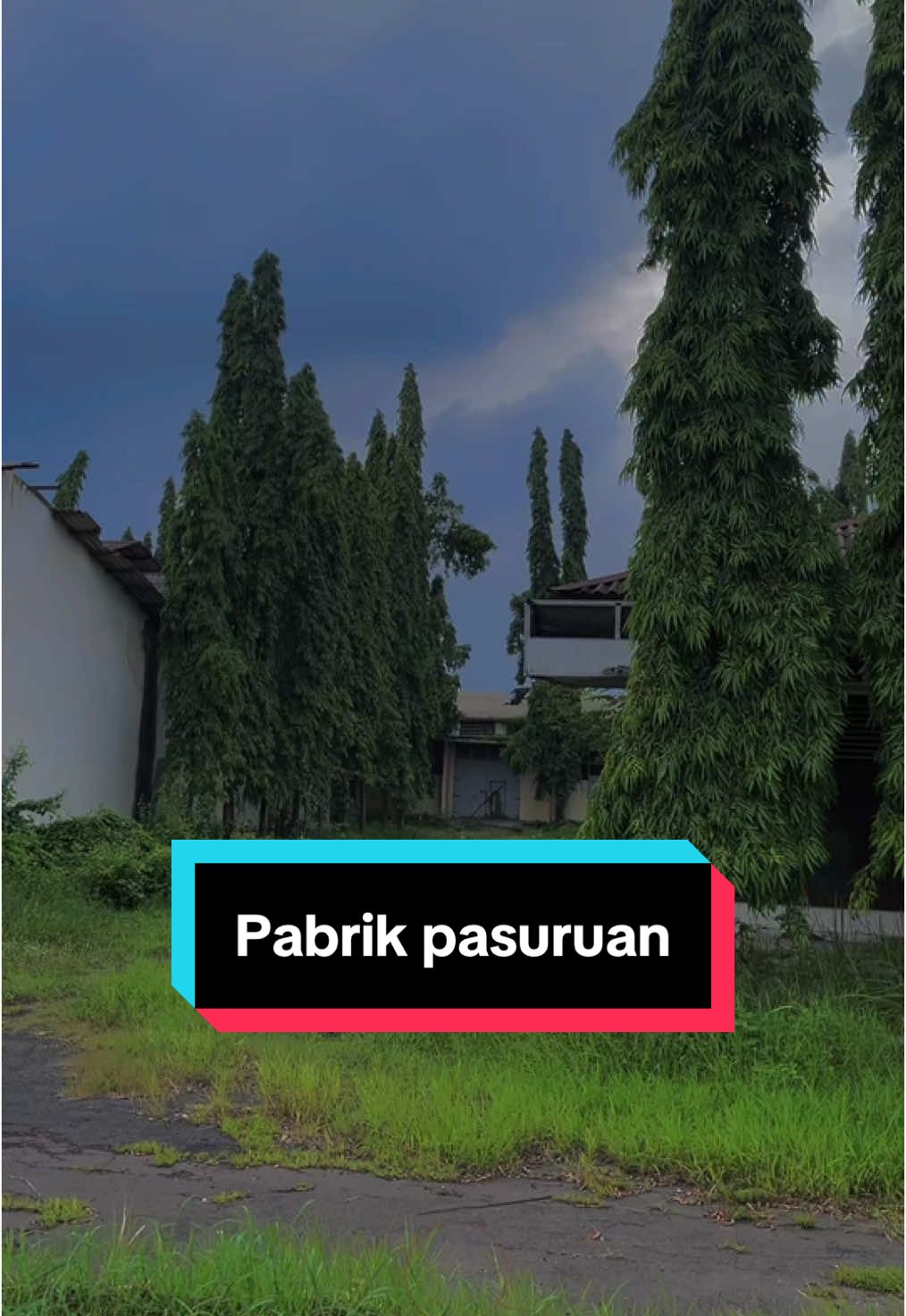 Konon di bangun di atas kuburan pki salah satu pabrik kosong patal grati Pasuruan #pabrikpatalgrati #pabrikangker #apbrikkosong #haunted #abandoned #lainsisi #explore #pabrikseram #ceritaseram #ceritahororku #abandoned #haunted 