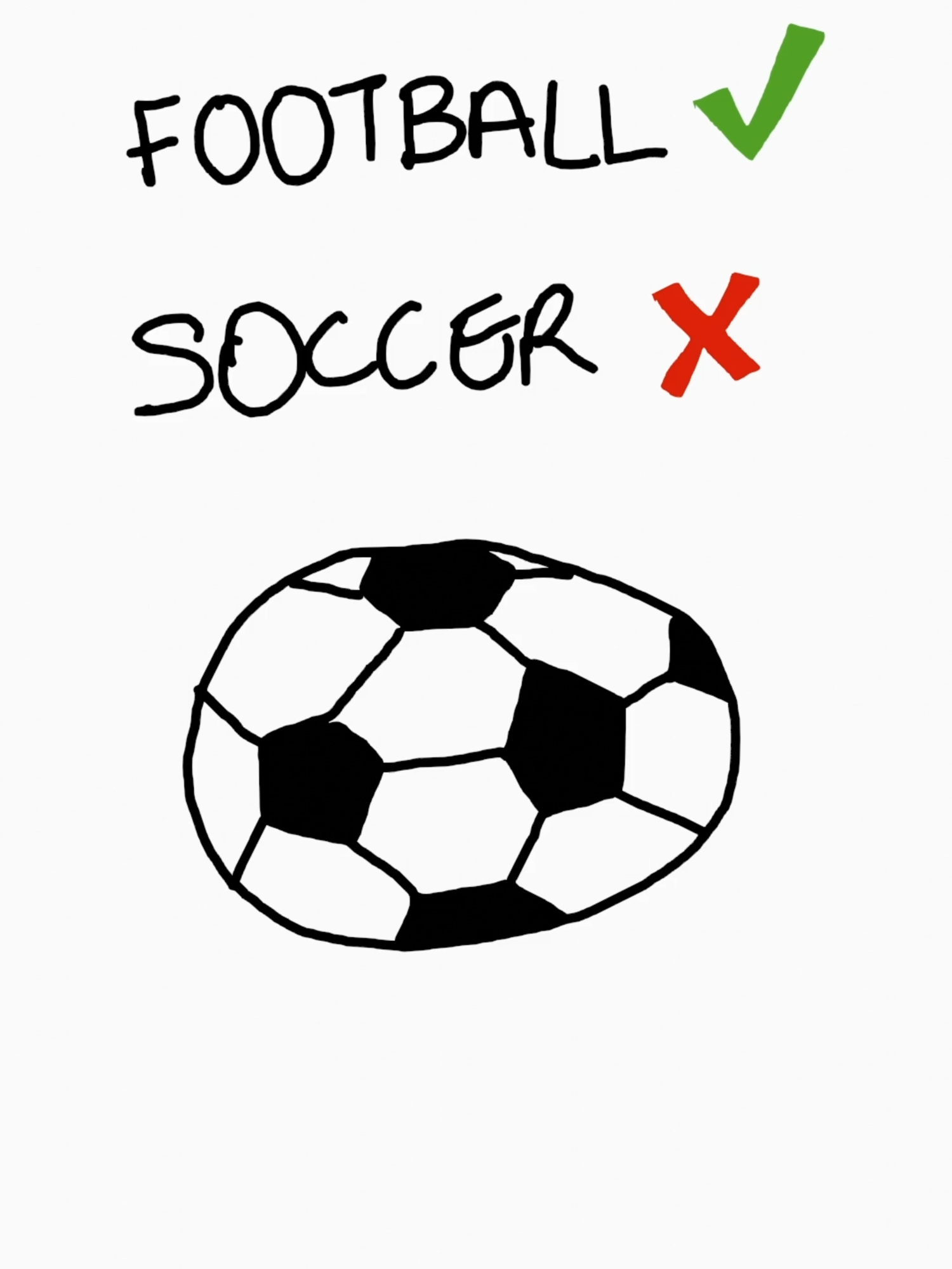 Football vs soccer which is it?  #comedy #animation #animationmeme