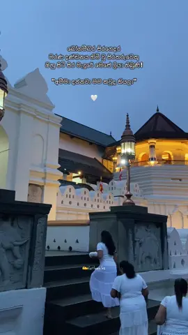 ඔහුට මරණ දණ්ඩනය හිමි වන විට ඇයද ජීවිතයෙන් සමුගෙන තිබුණි.❤️‍🩹 #tiktok #1m #preson #fypシ #motherlove #suniledrisighe #dewanaibudunlesa #foryoupage #templofthetooth #kandy #srilanka 