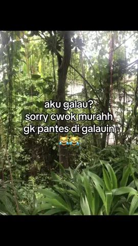 disini mah asik ,gk kayak si itu sirik😹😹#fffffffffffffffffffffffffyyyyyyyyyyyyy #moots #moots #moots #fyp 