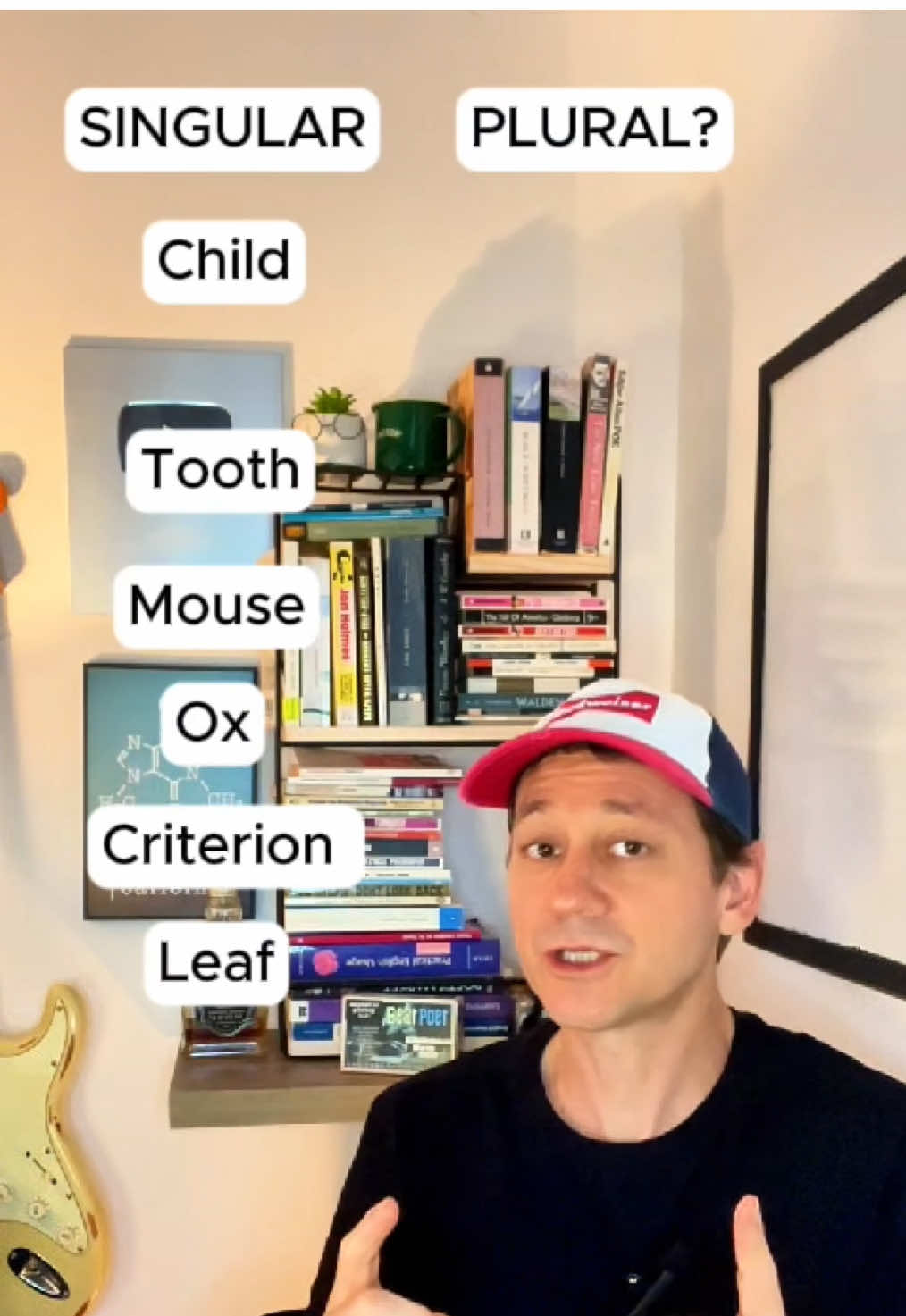 What's the plural form for these words IN ENGLISH? 🇺🇸🇬🇧   . . . . . Let’s study together?  Check out my website Englishwithrod.com   MY SOCIAL MEDIA: Instagram: @englishwithrods TikTok: @englishwithrod YouTube: @englishwithrod   #learnenglish #english #grammar #fyp #foryou #foryoupage #englishspeaking #challenge #plural  #vocabulary #pronunciation #englishwithrod 