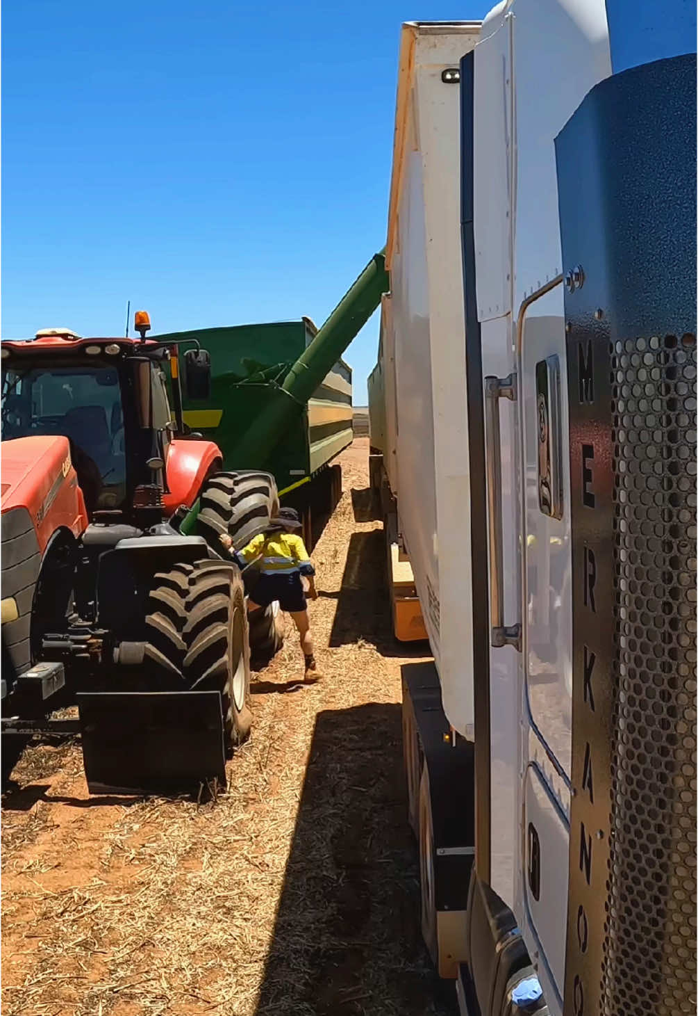 No doubt that harvest got me fit again! In and out up and down at least twice per trailer.  This video just shows one trailer and the start of the 2nd. Then the GoPro turned itself off. 🙄 For wheat and lupins it would be two drops per trailer and canola even more (as the grain is so light you need to water line it instead of piles)  Although I did have Bluetooth scales I chose to climb up and down to keep an eye on it myself as I couldn’t figure out the calibration l. So park, run back start tractor, engage PTO, jump out climb up bin ladder… then once reaching top climb down run to cab move forward and repeat  Loved it 🏃🏽‍♀️