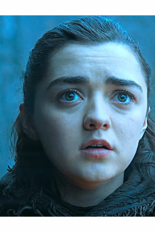 Arya and Nymeria reunited#aryastark #gameofthrones #edit #fofyou #fyp 