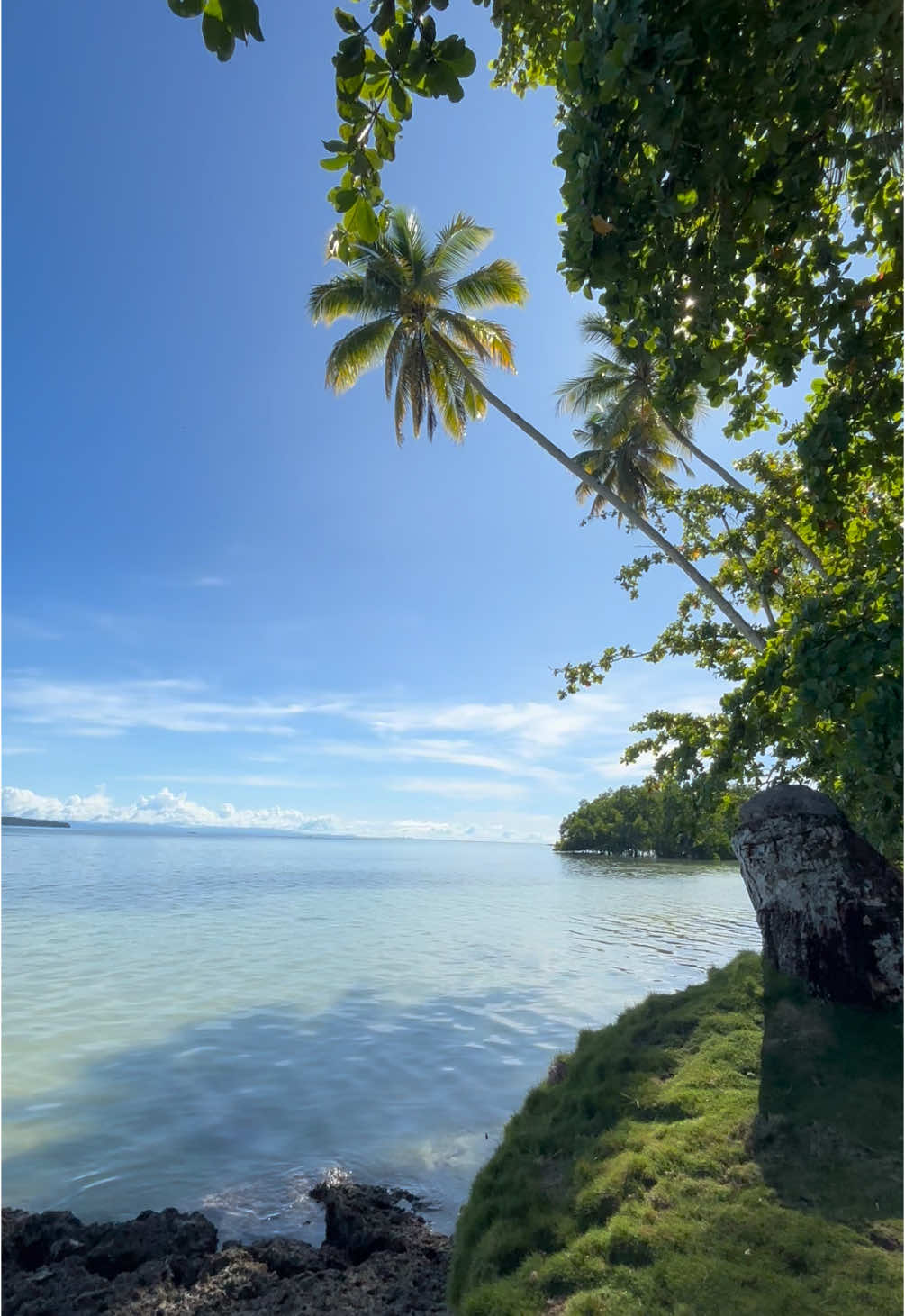 sio byak dlu baru ade ko🌴 #biak#pesonabiak#papua#tiktokpapua#fypシ#fyp 