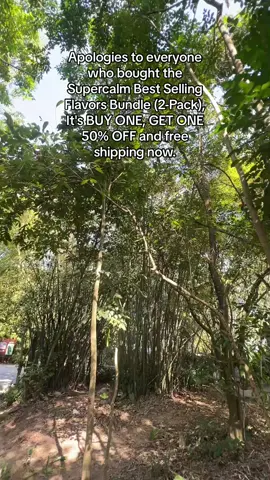 Don’t miss it,buy one,get one 50% off#TikTokShop 