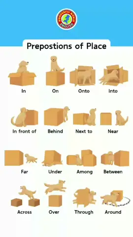 Prepositions of Place in #english  #englisch #englischlernen #studyenglish #englishlearning #vocabulary