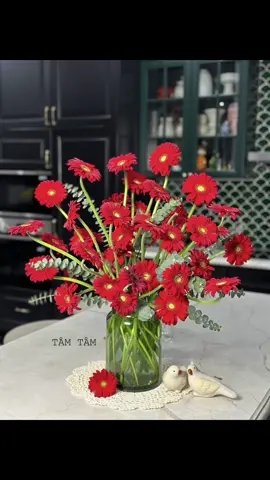 Cùng xem cách em cắm bình hoa đồng tiền nhé. #hoadongtien #camhoa #camhoadongtien #hoadep #flowers #thugian #binhthuytinh #lothuytinhcamhoa 