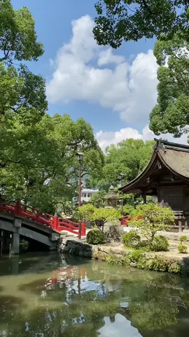 #dazaifu #hita #japan #travel #calm #peaceful 