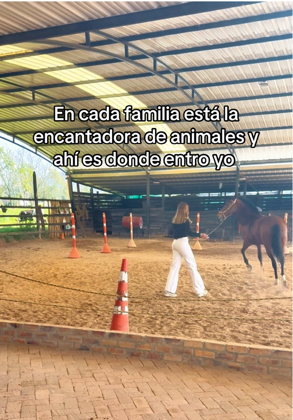 #animales #caballostiktok #horse 