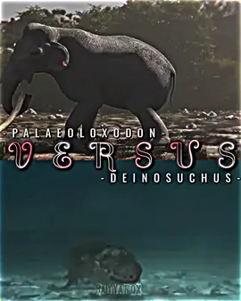 Palaeoloxodon vs Deinosuchus #captureramadanspark #alightmotion_edit #irl #paleonthology #dinosaur #elephant #fyp #tikto #chinese #shorts #shortfeed #crocodile 