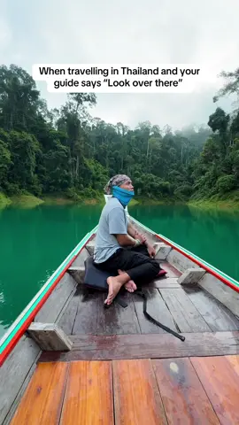 Did you know that you can find one of the rarest animal in the world in Thailand? 🥹 We were really lucky to meet a wild Tapir. You can only find them in some parts of Southeast Asia where they are incredibly rare.  We found it in 📍Khao Sok National Park You can normally spot many monkeys and elephants in this National park but it’s really rare to find tapirs. Indeed our guide told us that it was only his 3rd time seeing one since doing this job 🫢 This was definitely one of the most beautiful encounter in our life!  If you are traveling Thailand, we recommend visiting Khao Sok National Park and staying for an overnight stay in a floating bungalow ✨ #travel #thailand #khaosoknationalpark #traveltips #tapir #travelbucketlist #beautifuldestinations #travelcouple #khaosok #thailandtravel 