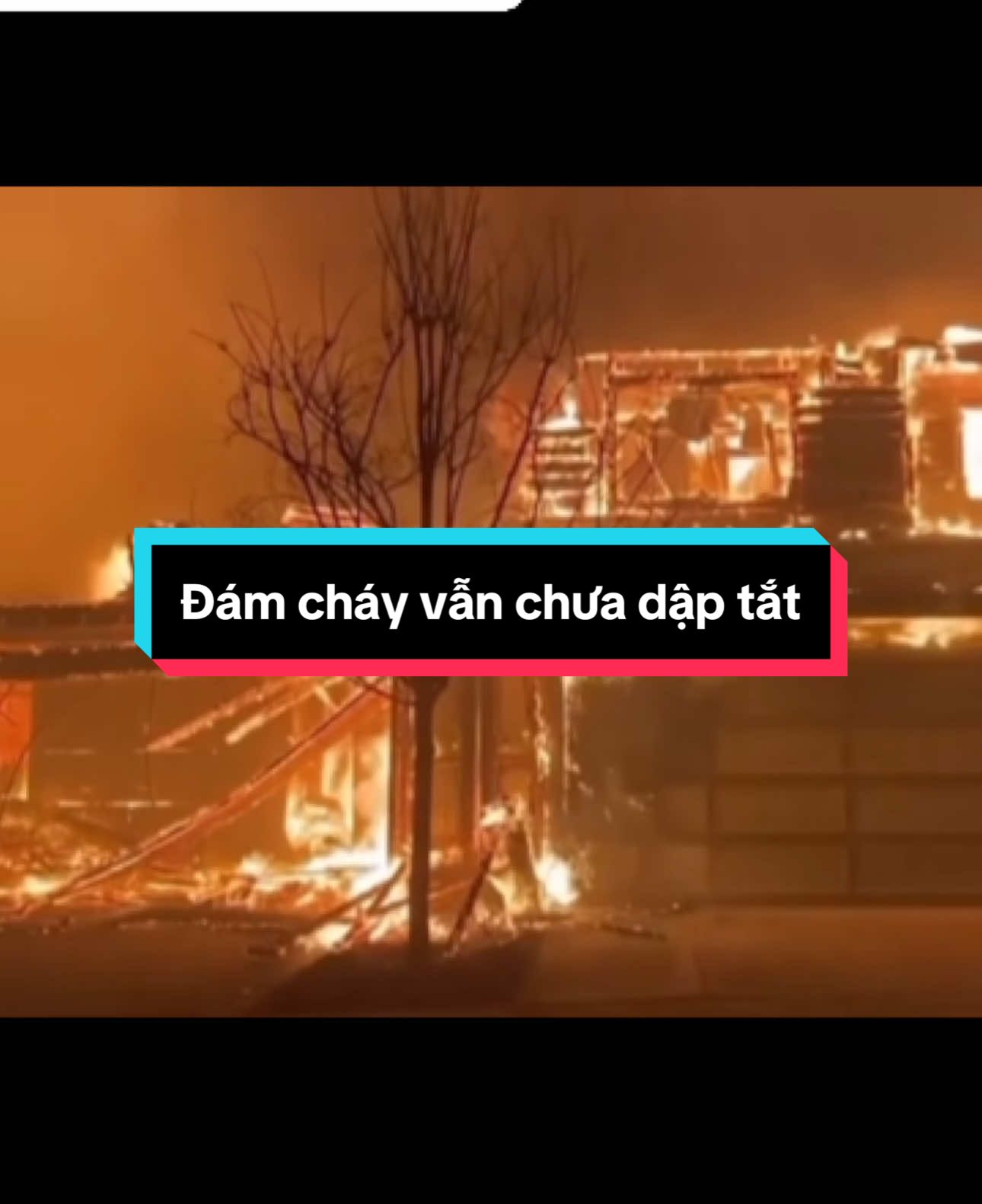 Trả lời @châu ngọc su  Đã Bị cháy nhà còn bị mất tài sản nữa,hy vọng lửa sẽ được dập tắt sớm #chayrung #fire #losangeles #california 