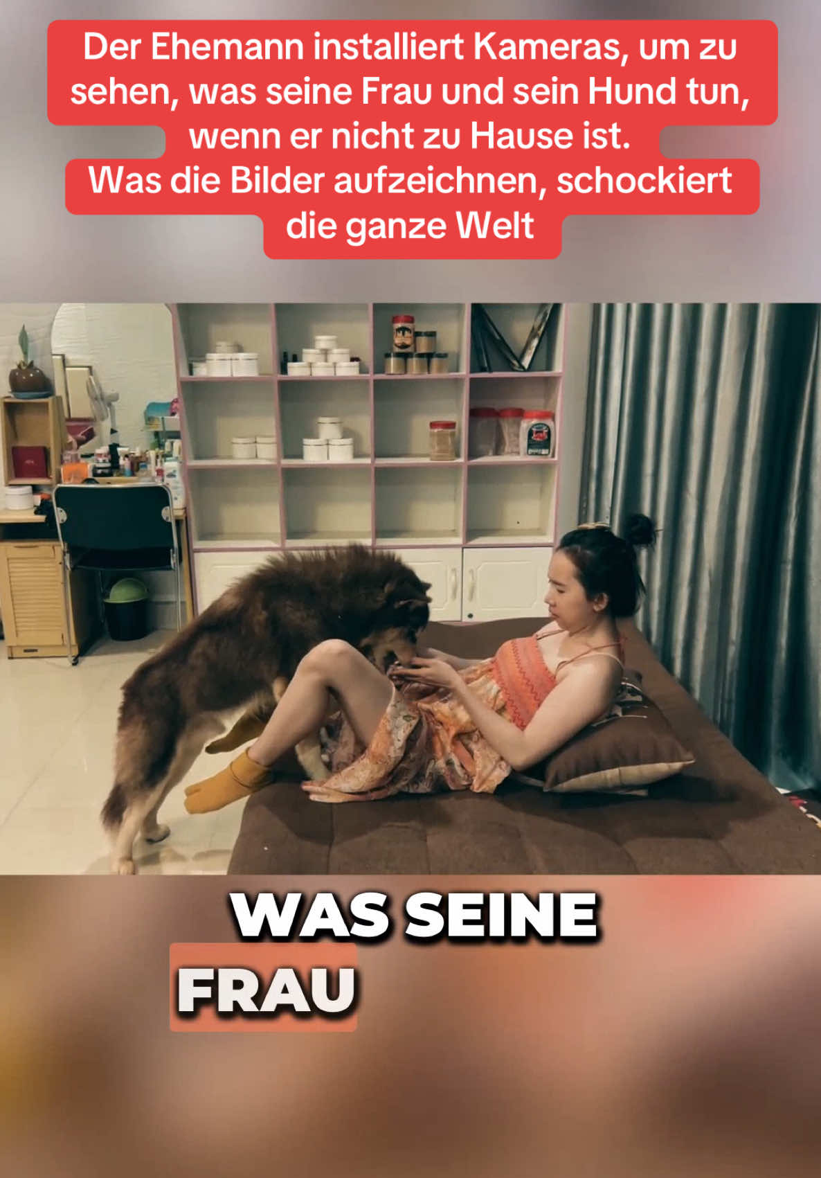 er Ehemann installiert Kameras, um zu sehen, was seine Frau und ihr Hund alleine zuhause machen. Was er entdeckt, ist schockierend. #Geheimnisse #Hundeliebe #Überraschung #Schockierend 
