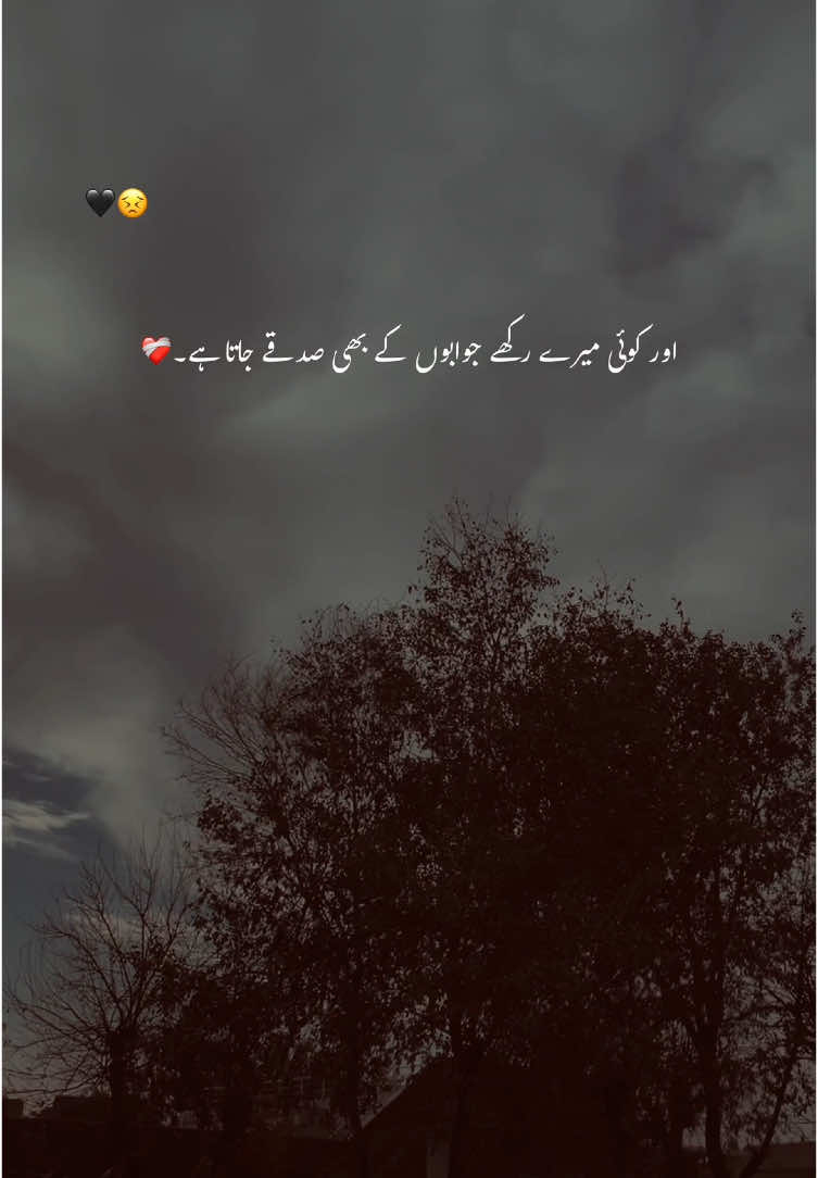 کوئی میری بے انتہا محبت سے بیزار تھا۔💔#fyp #1millionaudition #foryoupage #account #grow #viral #aesthetic #urdu #poetry 