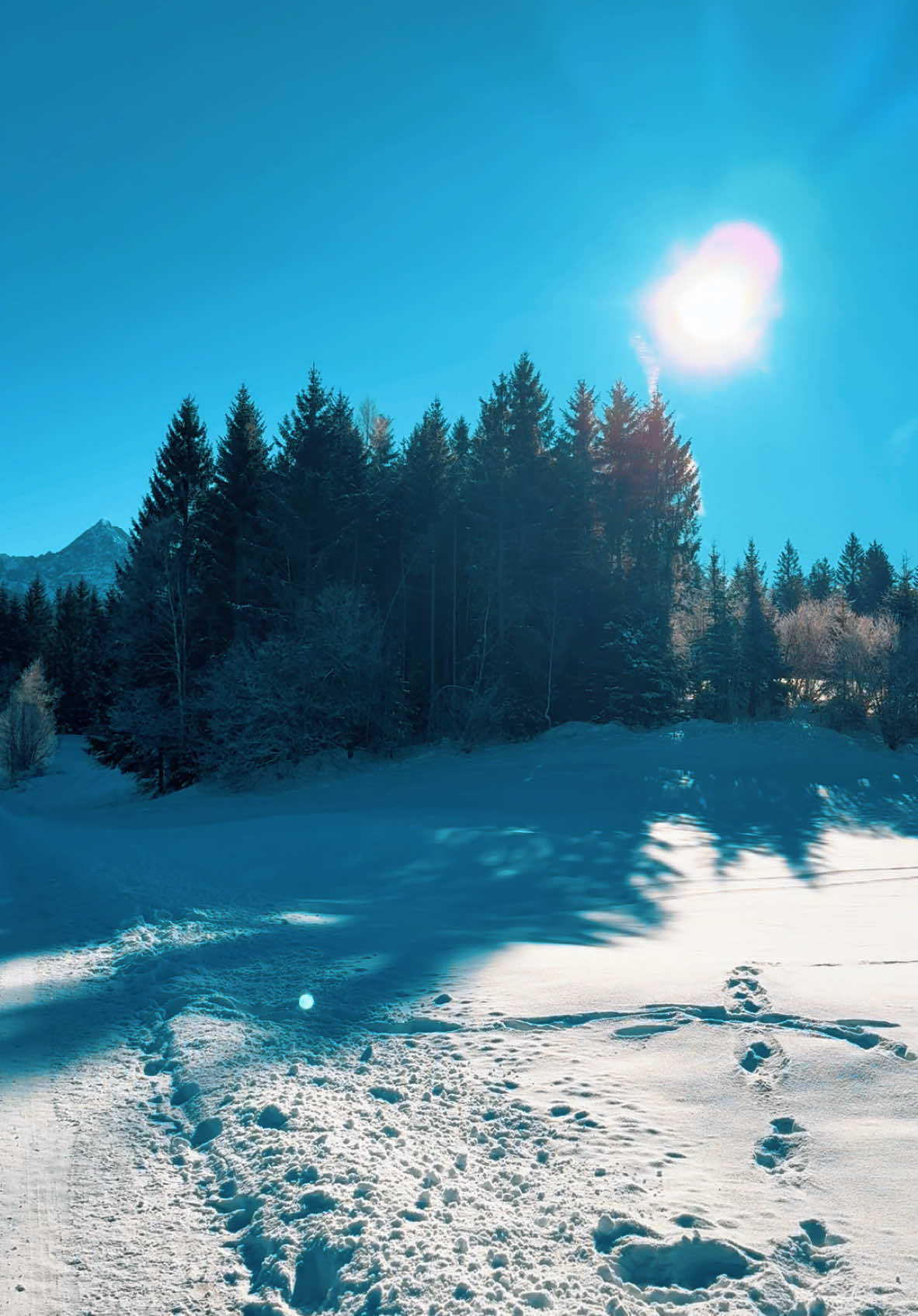 Sorry, aber zu so einem Video.. da ist diese Melodie Pflicht 😂🤷‍♀️🙈#nature #garmischpartenkirchen #berge #wintervibes #schnee 