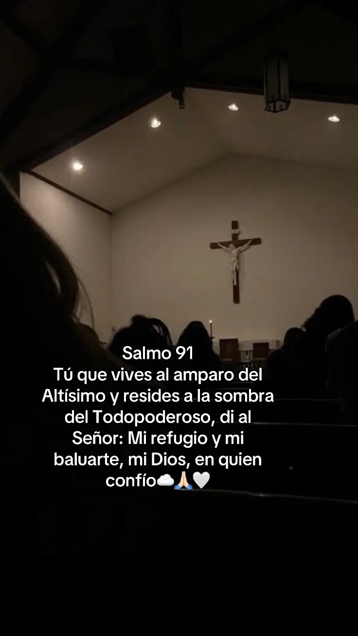 #paratiiiiiiiiiiiiiiiiiiiiiiiiiiiiiii #salmo91 #dios #amen #familia #proteccion #oracionespoderosas ☁️🙏🏻🤍