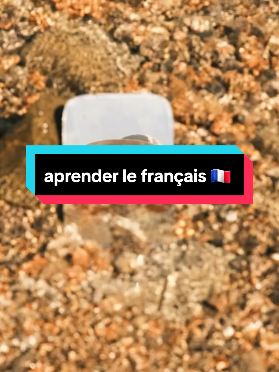 تعلم اللغة الفرنسية للمبتدئين 🇫🇷aprender le français 🇫🇷  #france🇫🇷 #france #paris #aprendanotiktok #aprendanotiktok #🇫🇷🇫🇷🇫🇷 