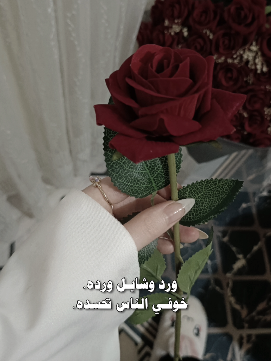 ورد وشايل وردة 🌹🦋 .  . #ننوشه🎀 #نور #اكسبلور #ورد #وشايل_وردة #CapCut 