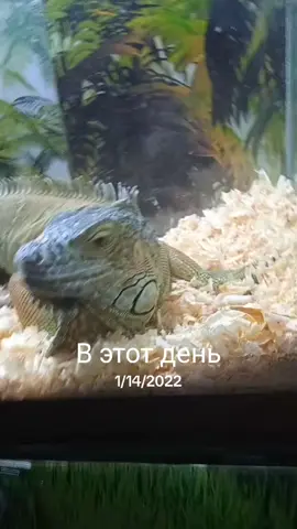 #ВэтотДень 