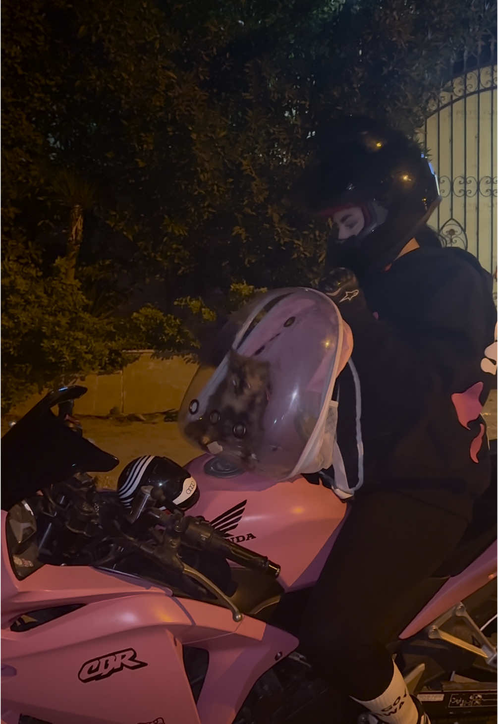 🖤😼 . . . . . . . . . . #motorcycle #hondacbr #girlbiker #egypt #explore #pinkmotorcycle#fyp #cat #kitty #catsoftiktok 