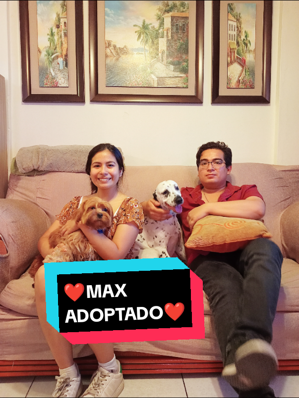 Hermoso Max en un hogar responsable muchas gracias a la señorita Avril ❤️#paratii #VIRAL #viralvideos #nocompresadopta #fypシ @Mika🥰🐾💞 @Yolis🦋⛰️♦️♣️🐕🐾🐶 @Narda marina @MARITZA ALMODÓVAR 