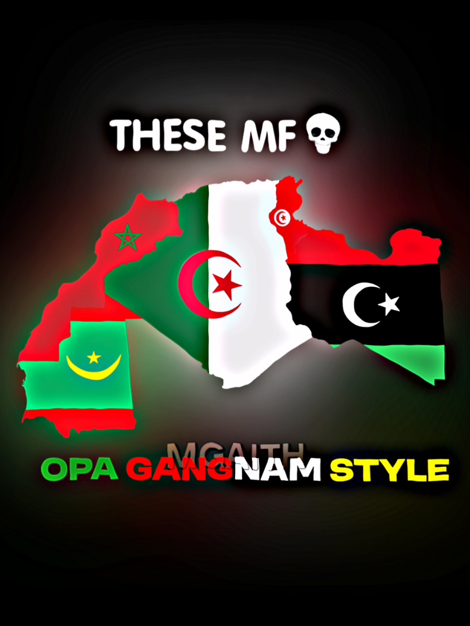 THESE MF DARIJA 💀 >>                                                                           #tunisia #algeria #morocco #libya🇱🇾 #mauritania #tunisia🇹🇳 #algerie🇩🇿 #m___gaith #fy #fypシ゚viral #fypage #fyppppppppppppppppppppppp #fyppppppppppppppppppppppp #language #arabic #russia #germany #france🇫🇷 #arabic #darija #tunisie 