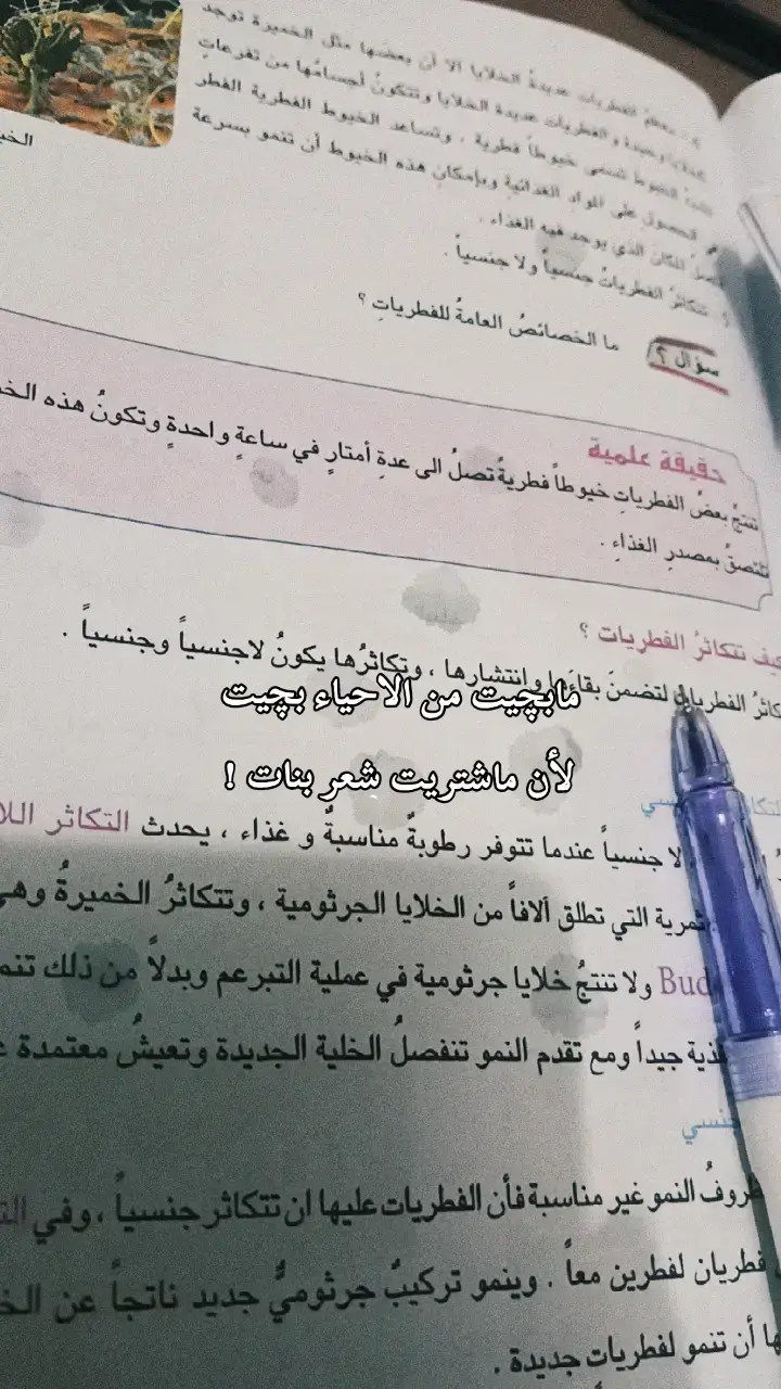 رحت لـ أخوي ابچي  يمه وانصدم من شافني ابچي علمود شعر بنات  ويحاول بـ أي طريقة يسكتني 💔👍🏻❕ #دراسة #بكاء 