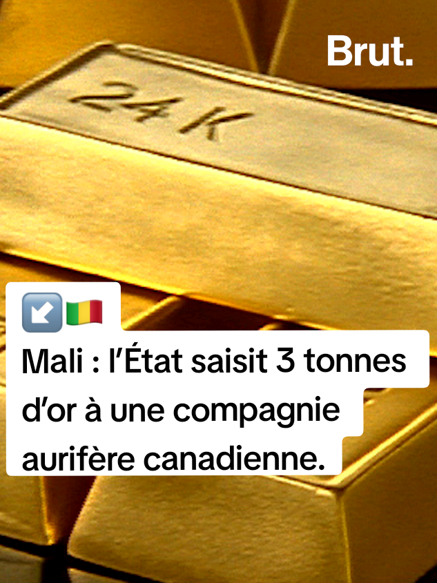 🇲🇱 Les autorités maliennes ont saisi 3 tonnes d’or, estimées à 245 millions $, chez Barrick Gold. Elles l'accusent de ne pas avoir payé ses impôts. Voici ce que l'on sait.