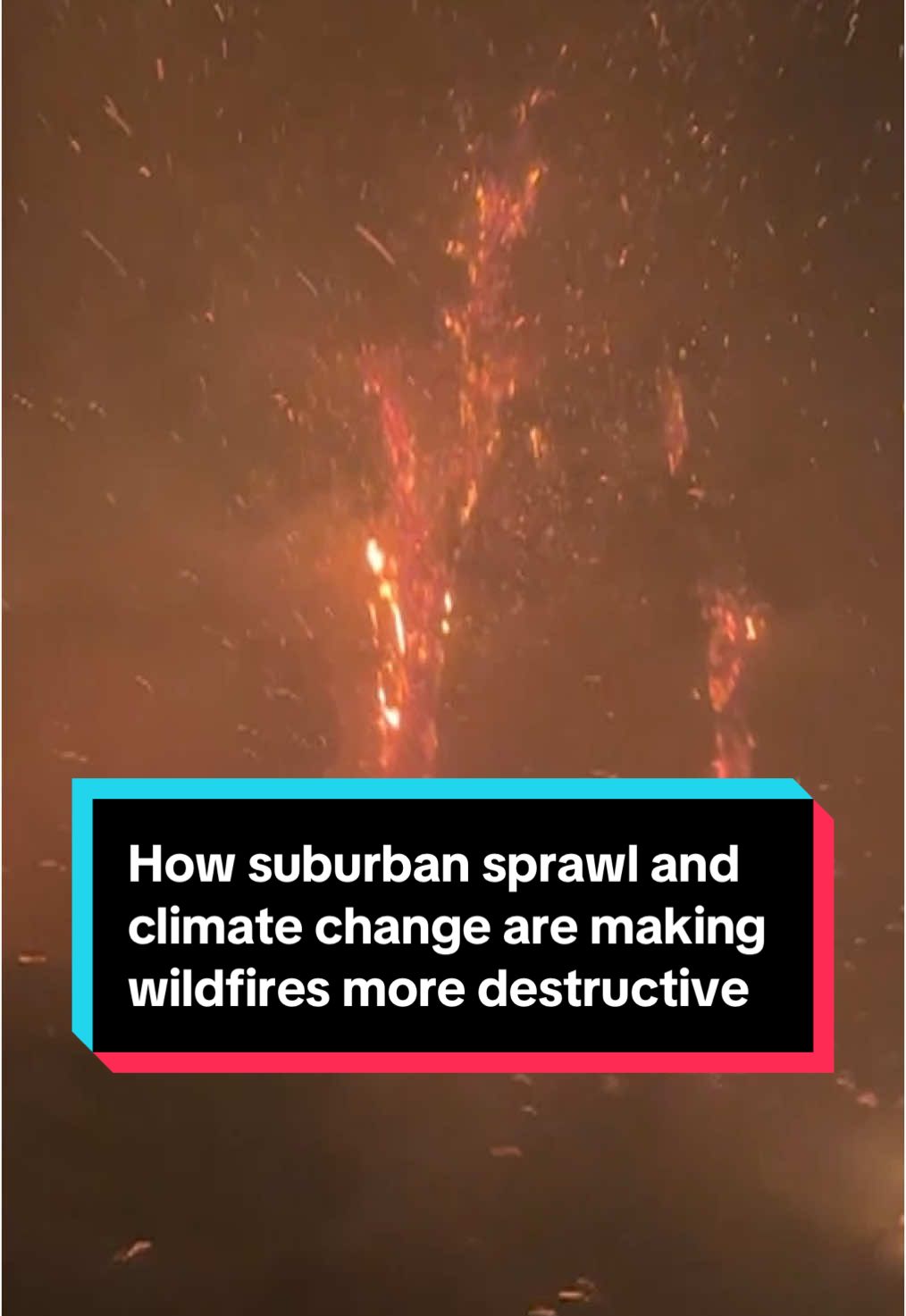 Neighborhoods tucked into the foothills of Los Angeles are now more vulnerable as rainy seasons become more intense and dry seasons last longer — a cycle that leads to more vegetation fueling fires. #LosAngeles #fire #wildfires #eatonfire #palisadesfire #california #climatechange #environment #news 