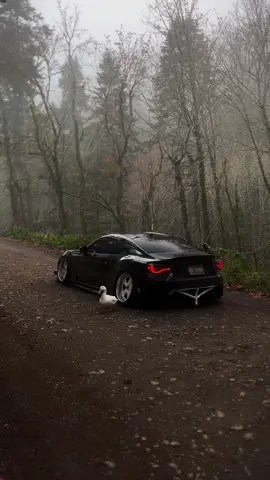 Calm.                                               .                                                        .                                                     .                                                       .                                                       .                                                        #static #brz #duck #carcommunity #caredit #jdm #viral #carculture #stance 
