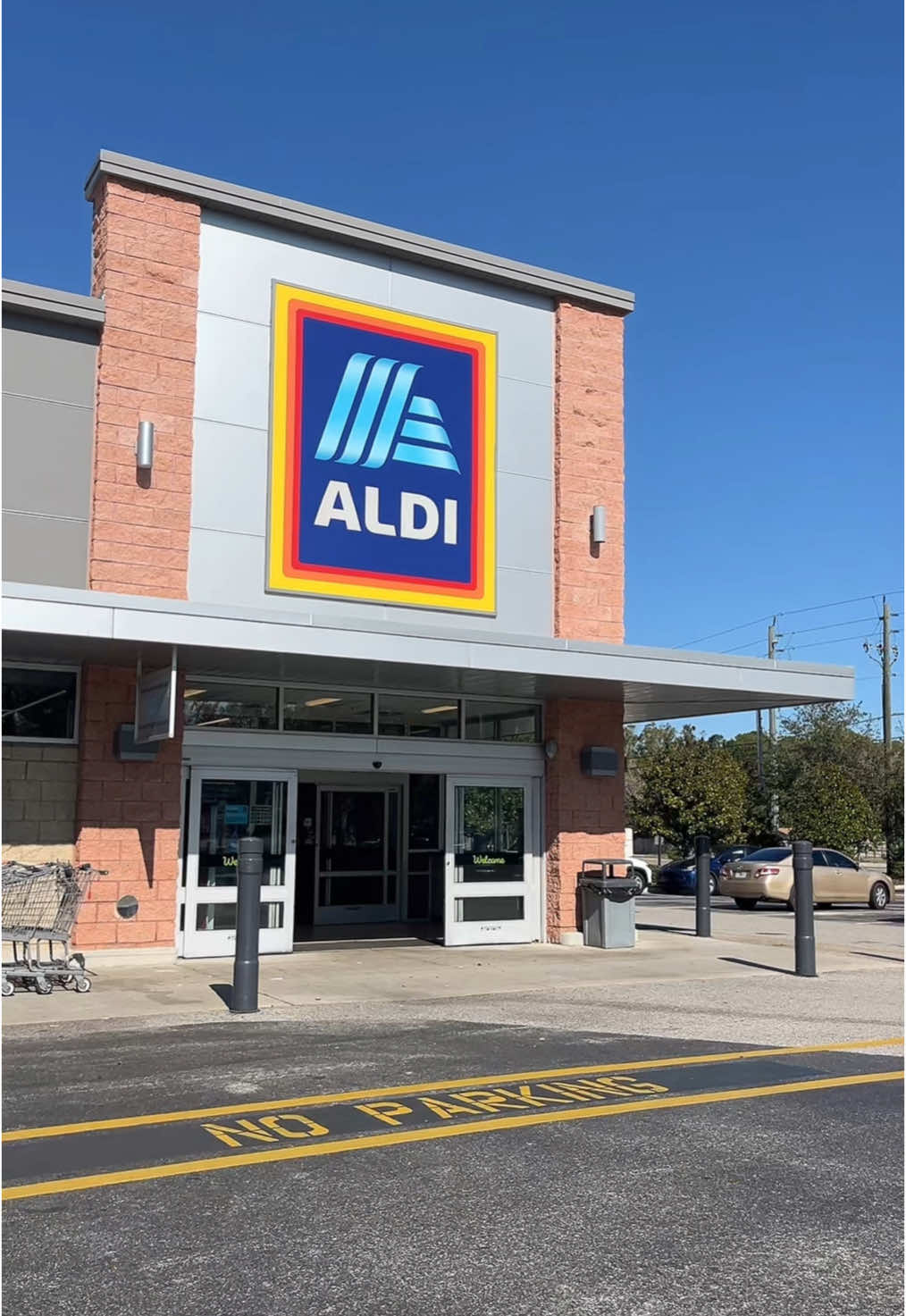 grocery shopping!!🛒🍊 #aldi #groceryshop #groceryhaul 