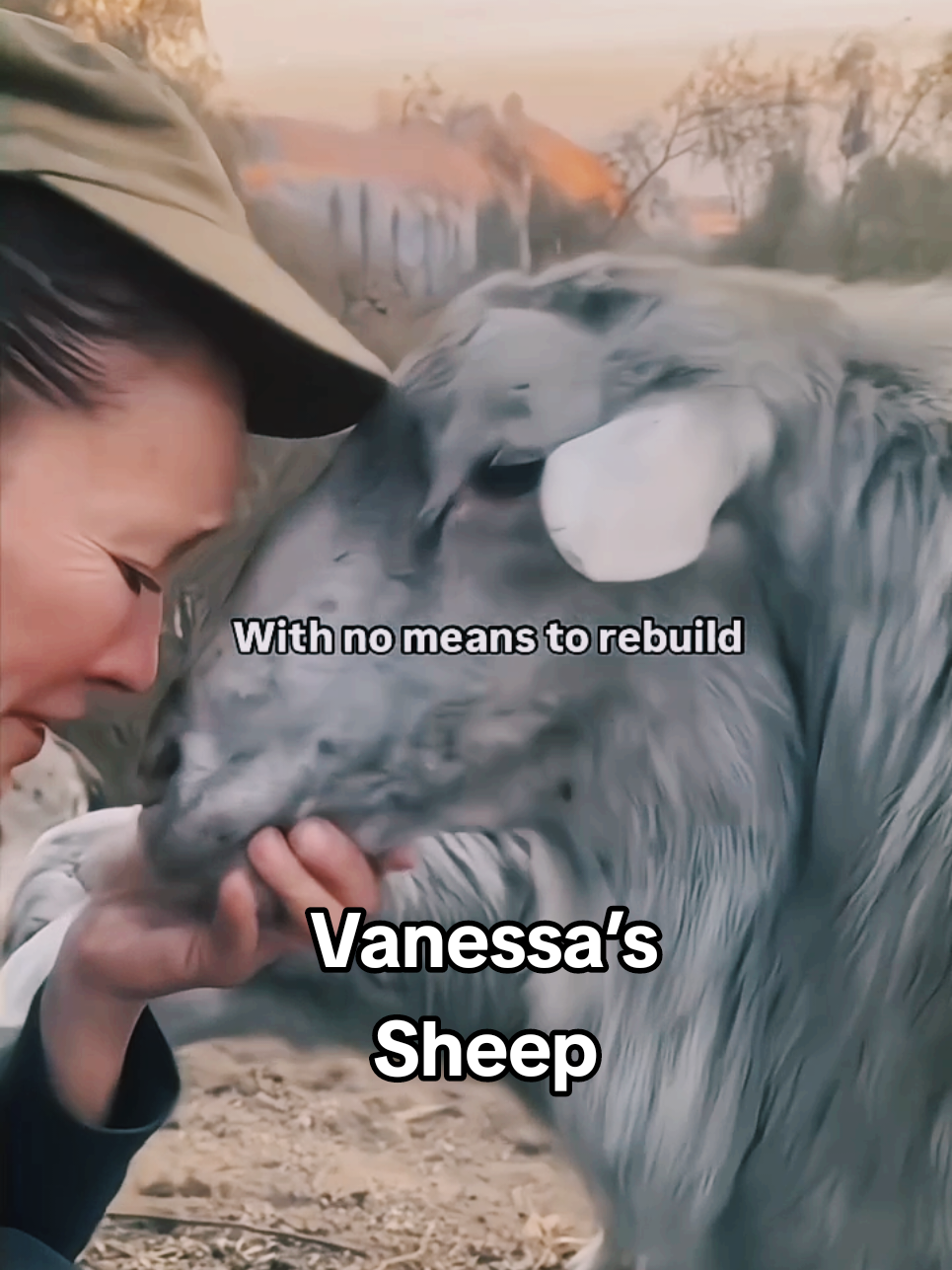 Vanessa’s Sheep #palisadesfire #pacificpalisades #californiawildfires #socallife #california #wildfires #homestead #livingofftheland #raisingautistickids #autism #workingathome #fyp #fypシ #fypage 