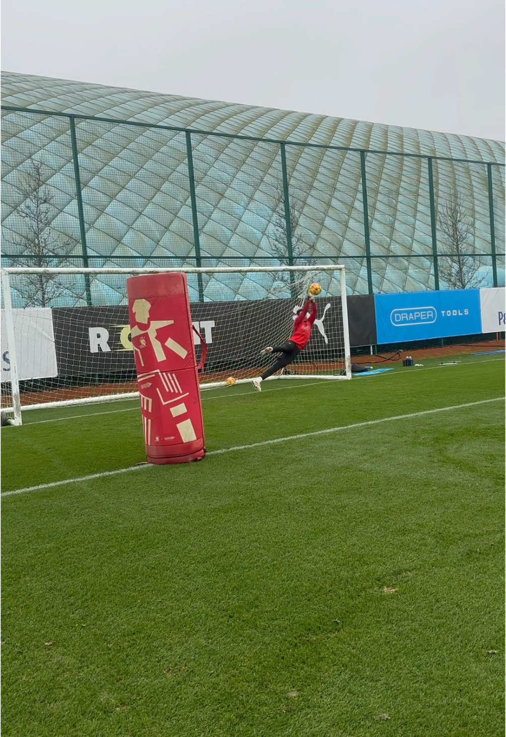 🧤⚽️ #football #Soccer #gkunion #goalkeeper #keepers #southampton #PremierLeague #deanthorntongoalkeeperacademy #DTGA #foryou #fyp #video #save #goalkeeping #training #trainingground #trainingday #gavinbazunu #alexmccarthy #joelumley 