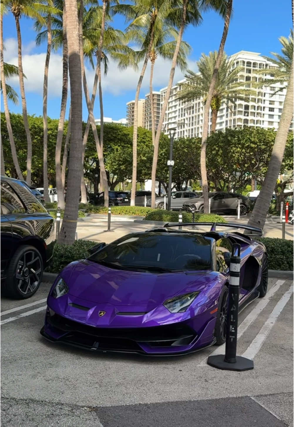 Purple SVJ😩#fyp #lamborghini #svj #supercar 