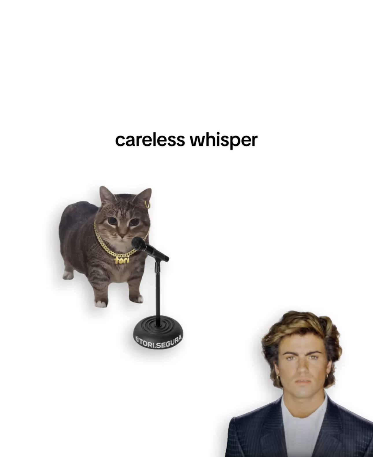 Careless u i 🥺 #cats #lyrics #carelesswhisper 