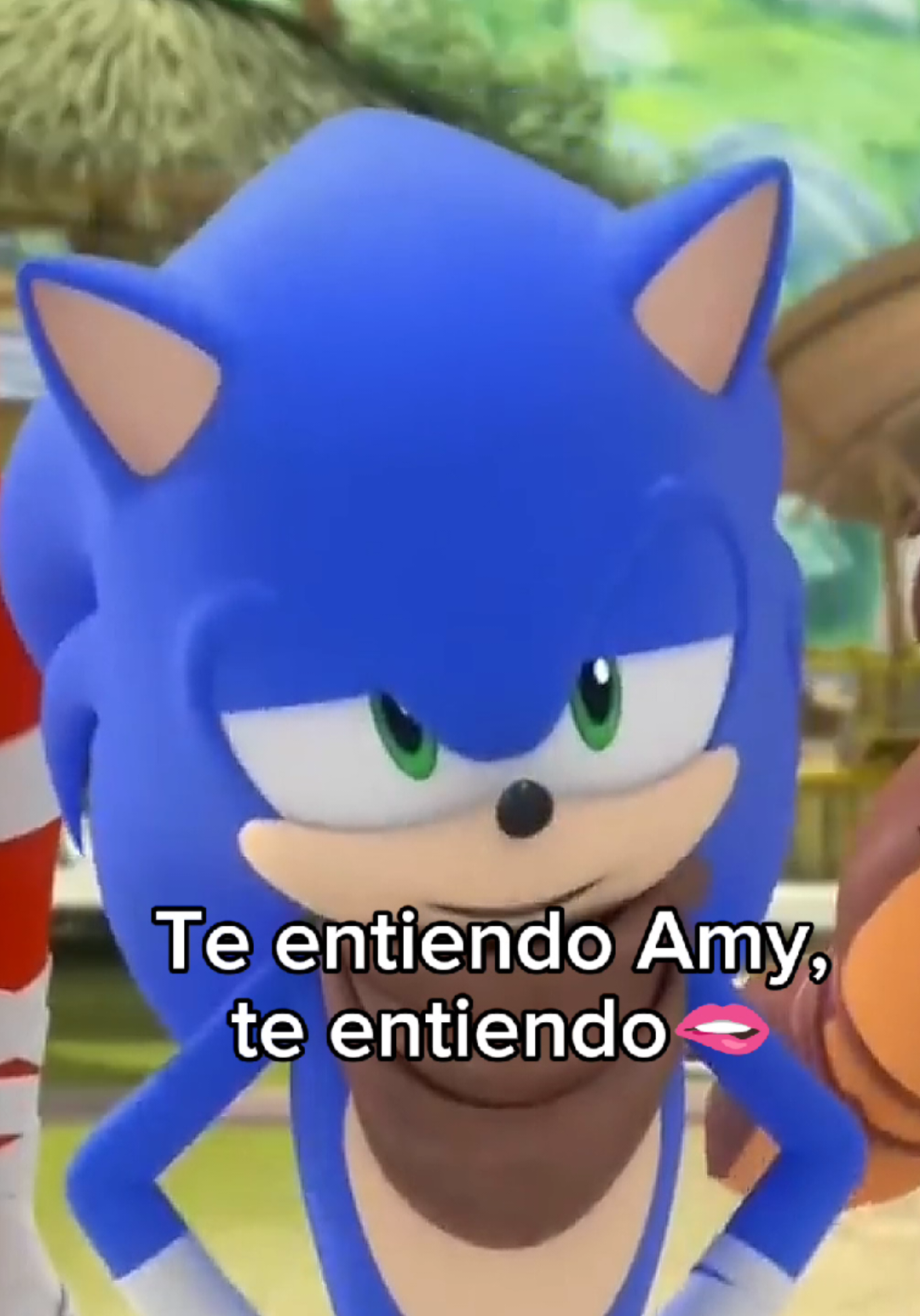 Te entiendo Amy🫦 #sonicboom #lola #amyrose #vidareal #yo #viral_video #sonicthehedgehog #sonic #sonicboom #amyboom 