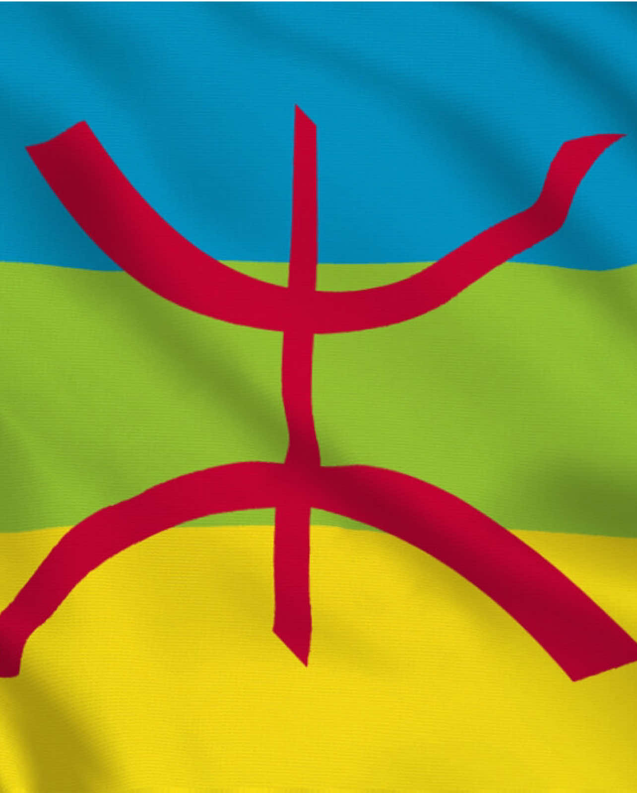 Asgas Amazigh Amayno ❣️2975 ♓ 🎉 ⴰⵙⴳⴳⵯⴰⵙ ⵉⵖⵓⴷⴰⵏ ❣️2975 ♓🎉 Happy Amazigh New Year to all! Celebrating culture, history, and unity ❣️✨  #AmazighNewYear #AsgasAmazighAmayno #2975 