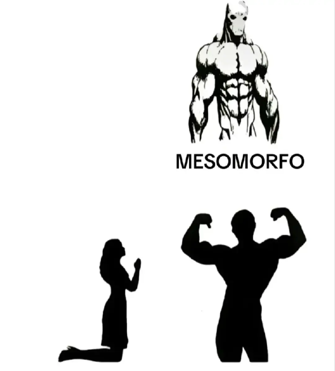 real #ectomorfo #mesomorfo #mesomorfo #gym #GymTok 